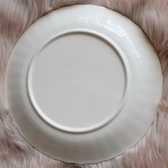 VTG Scenic South Dakota Souvenir Decorative Plate - Picture 4 of 8